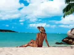 Armik - Tropical Breeze