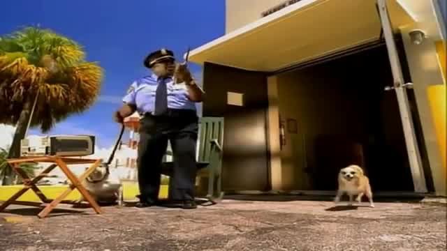 Baha Men - Who Let the Dogs Out