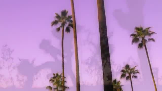 Best Coast - California Nights