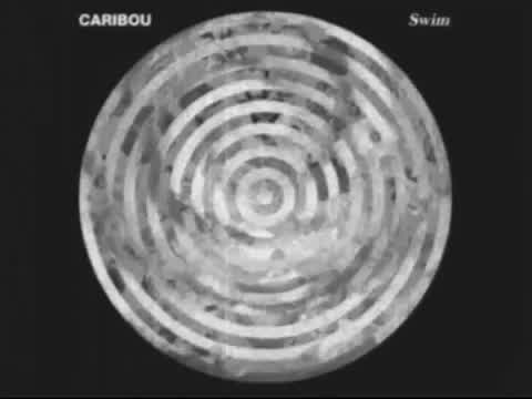 Caribou - Kaili