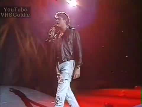 David Hasselhoff - Flying on the Wings of Tenderness