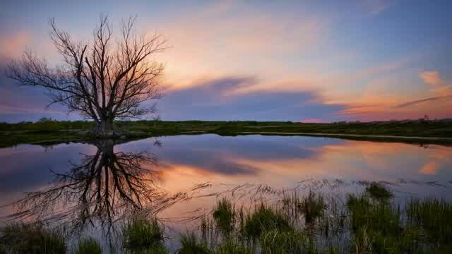 Joey Fehrenbach - Behold