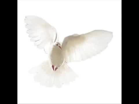 Libera - Wings of a Dove