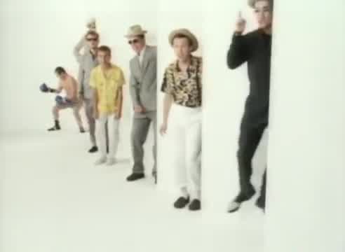 Madness - Wings of a Dove