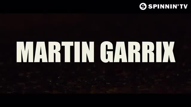 Martin Garrix - Animals