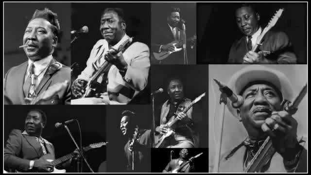 Muddy Waters - I'm a King Bee