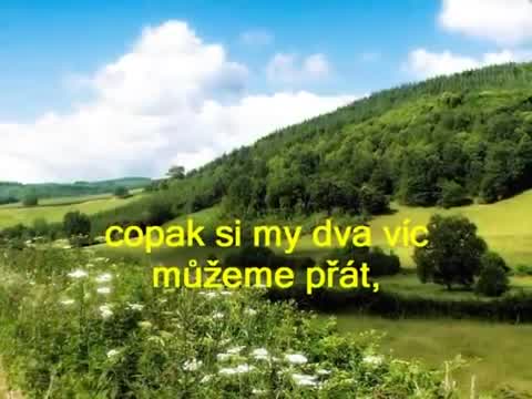 Nezmaři - Bodláky ve vlasech