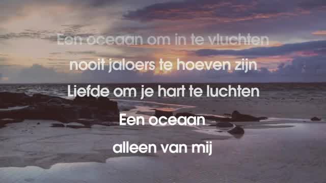 Racoon - Oceaan