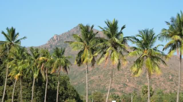 S. P. Balasubrahmanyam - Annamalai