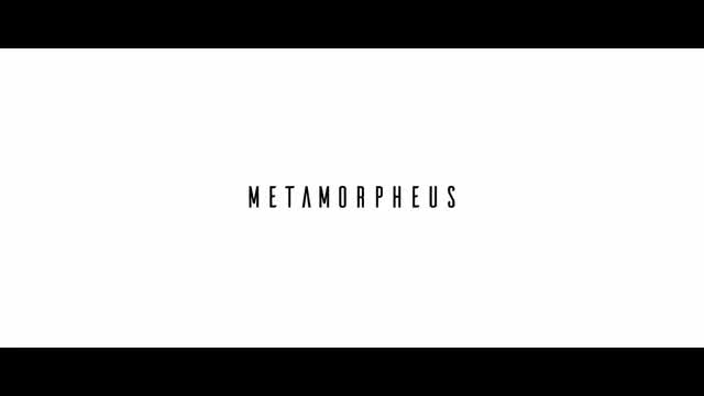 SA-ROC - Metamorpheus