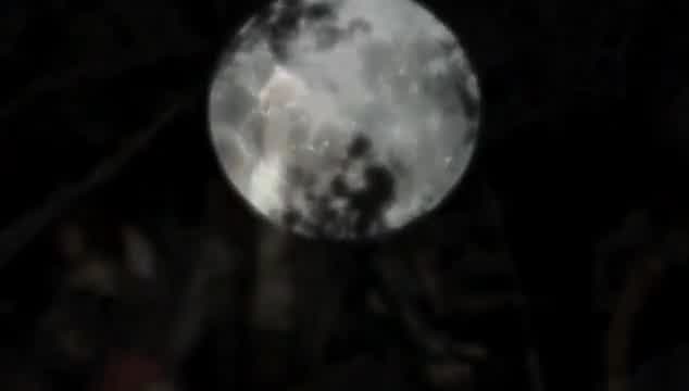 Stravaganzza - Hijo de la luna