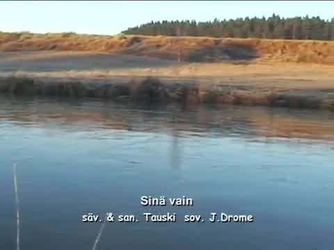 Tauski - Sinä vain