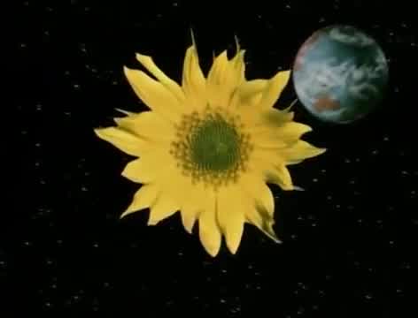 Tears for Fears - Sowing the Seeds of Love