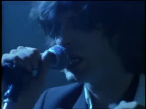 The Waterboys - The Whole of the Moon