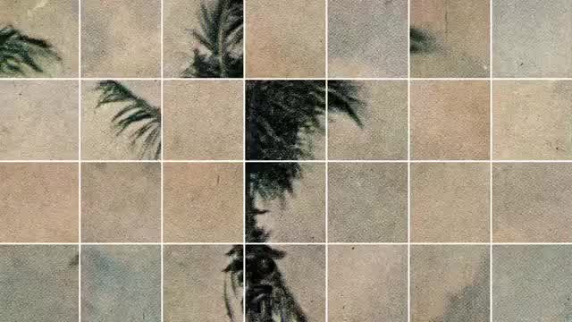 Touché Amoré - Palm Dreams