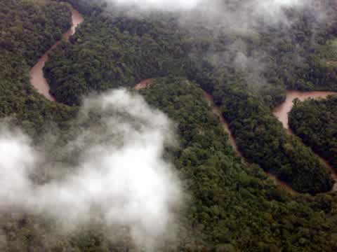 Uakti - Águas da Amazonia: Amazon River