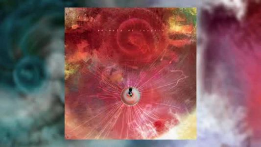 Animals as Leaders - Another Year