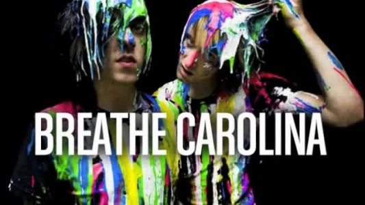 Breathe Carolina - The Birds and the Bees