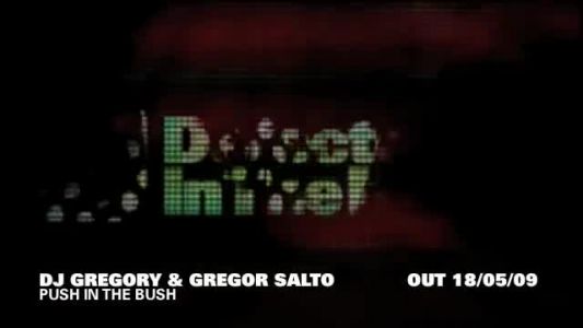 Gregor Salto - Push in the Bush (main mix)