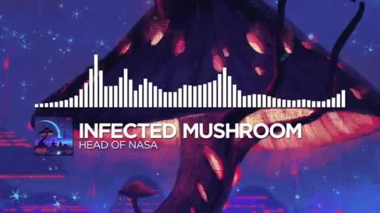Infected Mushroom - Head of NASA