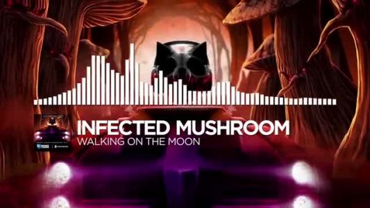Infected Mushroom - Walking on the Moon