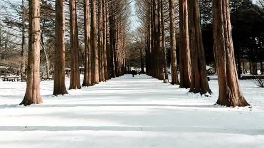 Richard Clayderman - Love Song In Winter